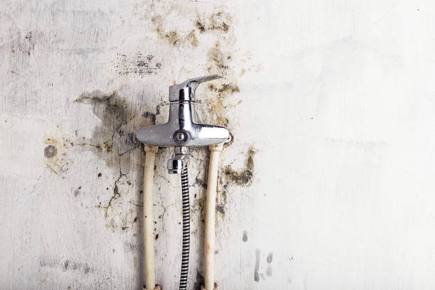Best Insurance-Related Mold Remediation in Catoosa, OK