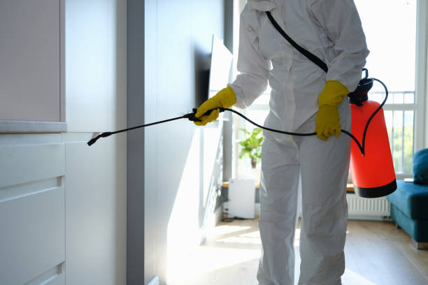 Best Residential Mold Remediation in Catoosa, OK